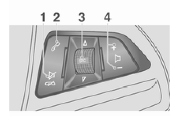 Comando áudio Tipo 1 no volante: opção