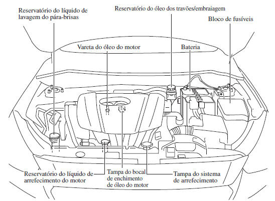 Descrição do Compartimento do Motor